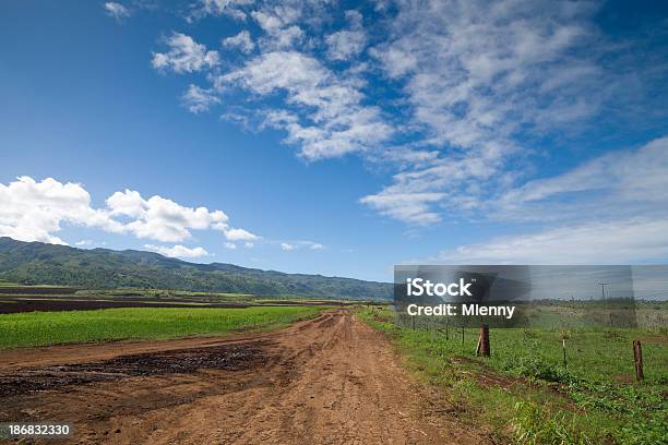 Foto de Estrada Rural De Adobe e mais fotos de stock de Oahu - Oahu, Agricultura, Cordilheira