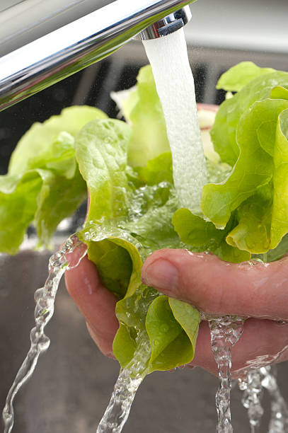 istock Womans hands washing lettuce leaves 186832365