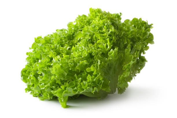 légumes: lollo bionda - lollo bionda lettuce photos et images de collection