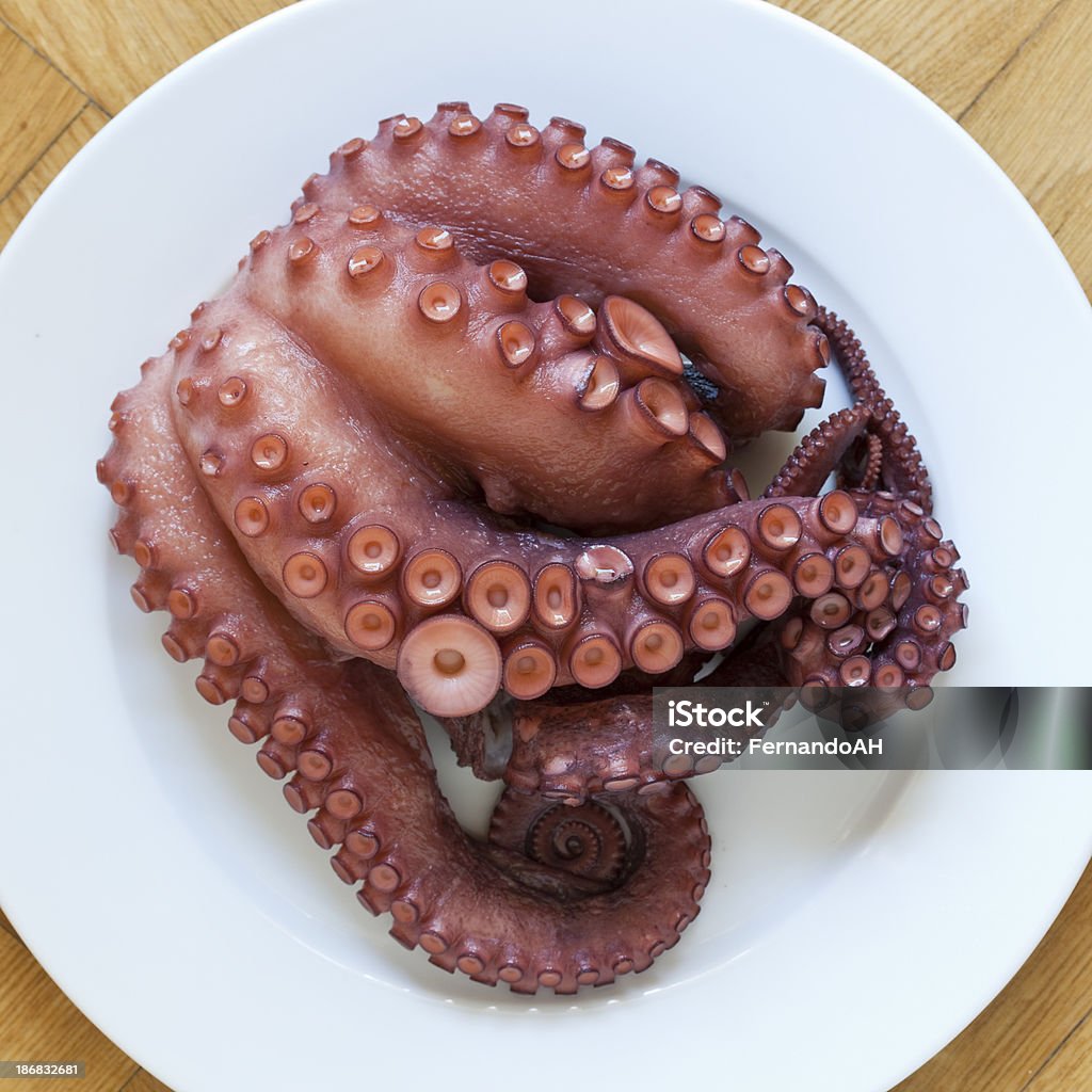 Pulpo - Foto de stock de Pulpo libre de derechos