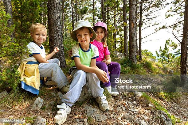 Bambini A Riposo Nella Foresta - Fotografie stock e altre immagini di Campo estivo - Campo estivo, Bambino, Figli