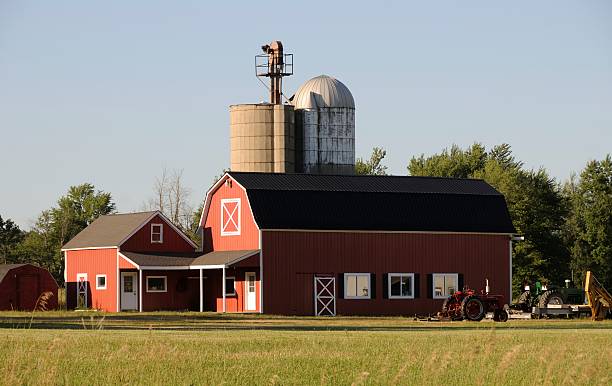 Midwestern Farm "A typical midwestern American farm on a summer day.To see some of my personal favorites, please visit my lightbox." michigan farmland stock pictures, royalty-free photos & images