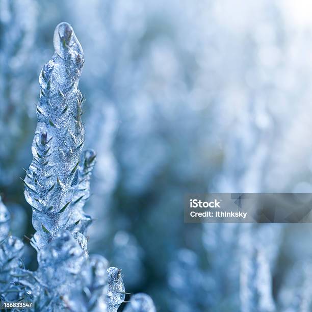 Sfondo Di Inverno - Fotografie stock e altre immagini di Abete - Abete, Acqua, Albero