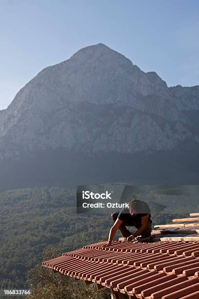 Foto de Roof e mais fotos de stock de Adulto - Adulto, Aprimoramento, Arranjo