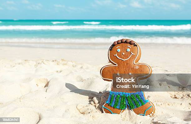 クリスマスのジンジャーパン男性冬のバケーションにはカリブ海のビーチ - クリスマスのストックフォトや画像を多数ご用意 - クリスマス, 熱帯気候, クッキー
