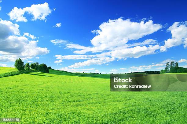 Foto de Campo Verde E Nuvens Brancas No Céu Azul e mais fotos de stock de Agricultura - Agricultura, Ajardinado, Azul