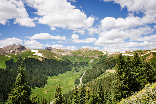 Beautiful Colorado Valley "Lake Creek Valley between Independence Pass and Leadville. Road descends to the east from 12,095 foot pass across the continental divide (highest paved pass in Colorado) into this beautiful valley. Wild flowers complete the scene." leadville stock pictures, royalty-free photos & images