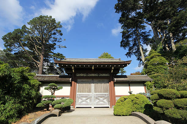 японский чайный сад в сан-франциско, калифорния - japanese tea garden стоковые фото и изображения