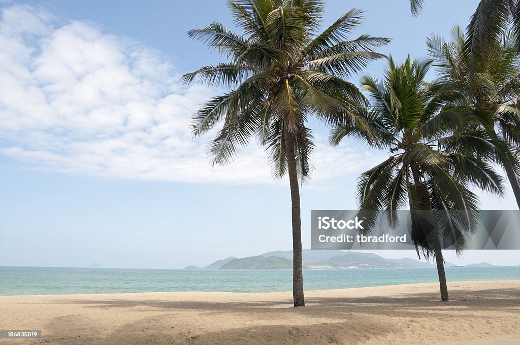 Sielanka tropikalnej plaży w Wietnamie - Zbiór zdjęć royalty-free (Azja)