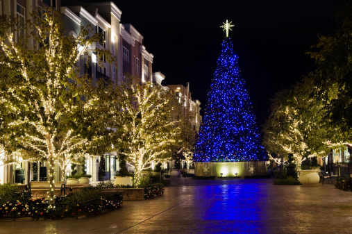 Long exposure image of a large Christmas tree and several small trees brightly lit with Christmas lights in a public setting.