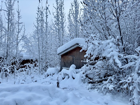 Snow covered cabin in the woods