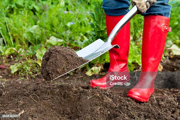 Graben Mit Roten Schuhe Im Gemüsegarten Stockfoto und mehr Bilder von Arbeiten - Arbeiten, Aufnahme von unten, Bewegung