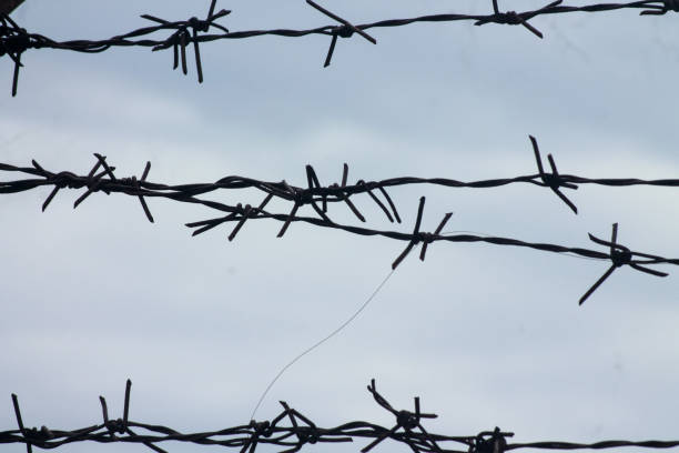 istock Barbed wire. Barbed wire on fence with blue sky 1868368025