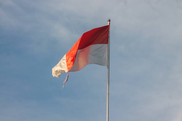 istock Old Indonesian flag on the wind 1868368026