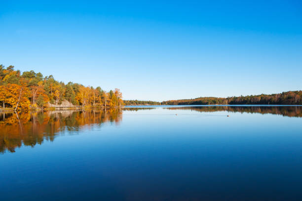 istock Calm lake in autumn colors 186837166