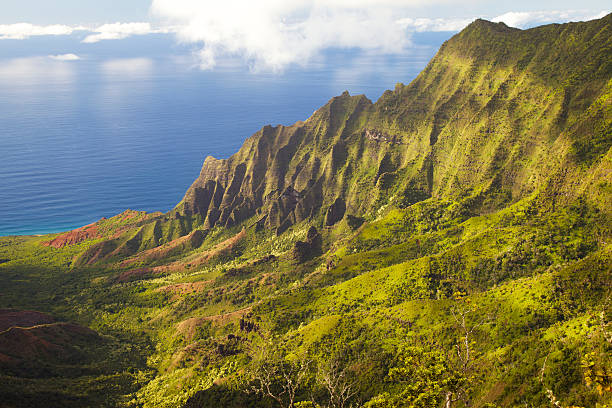 istock Na Pali Coast of Kauai 186837244