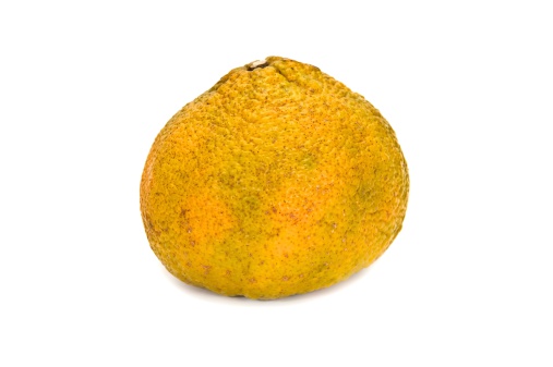 Uglie Fruit Jamaican Hybrid Citrus Fruiturl=http://www.istockphoto.com/file_search.phpaction=file&lightboxID=12156969]
