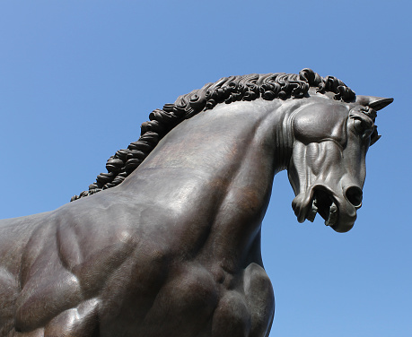Huge Leonardo's Horse statue, made with bronze.