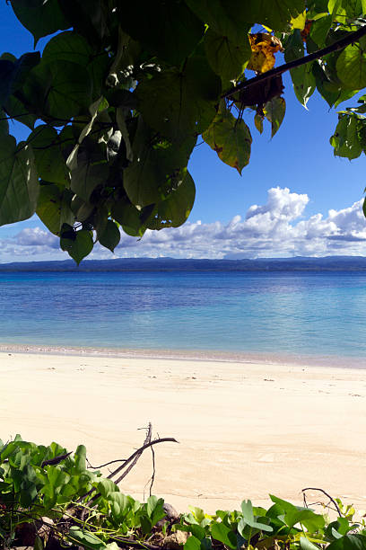 istock Indonesia, North Maluku, Halmahera, island in the Pacific Ocean. 186837746