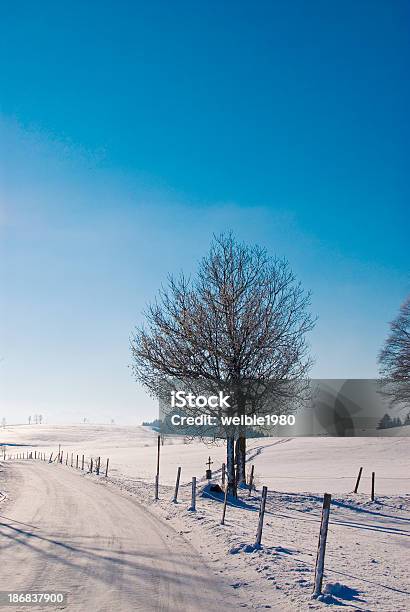 Einsame Baum In Der Nähe Von Winter Road Stockfoto und mehr Bilder von Baum - Baum, Baumkrone, Beleuchtet
