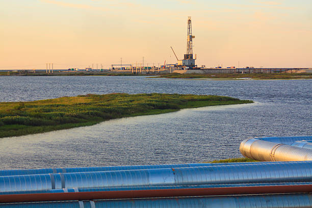 The oil pump in the sunset