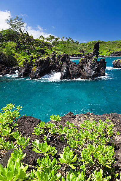 idílica bay con mar azul, maui, hawai - traffel fotografías e imágenes de stock