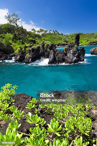 Foto de Idílica Bay Com Oceano Azul Maui Havaí e mais fotos de stock de Atividade Recreativa - Atividade Recreativa, Cena Não-urbana, Costa Hana
