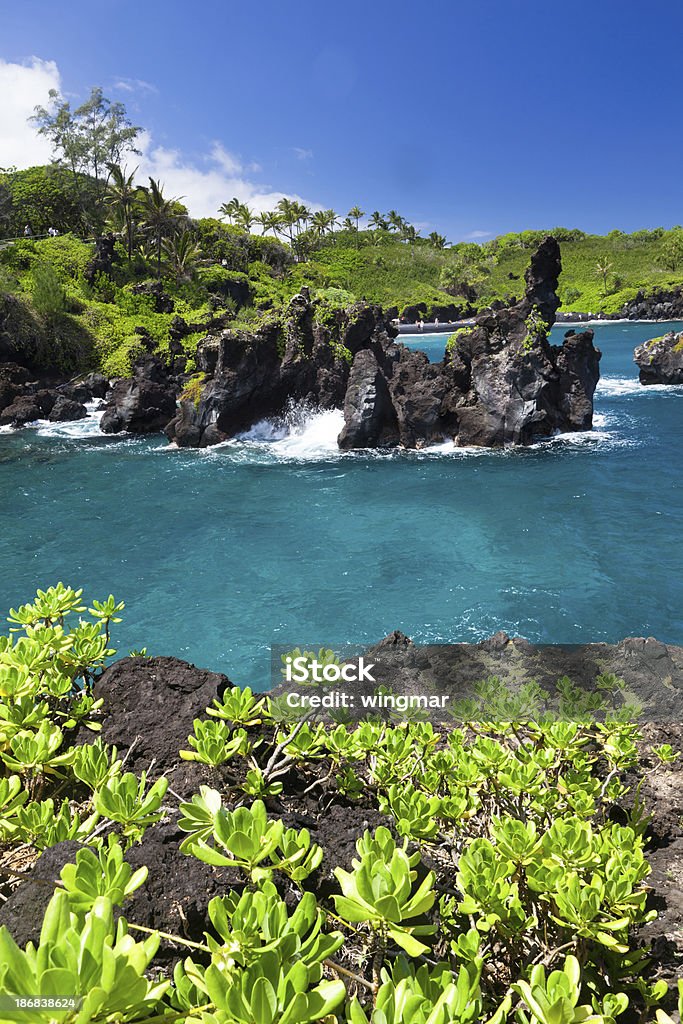 Идиллический bay с голубой океан, Мауи, Гавайи - Стоковые фото Hana Coast роялти-фри