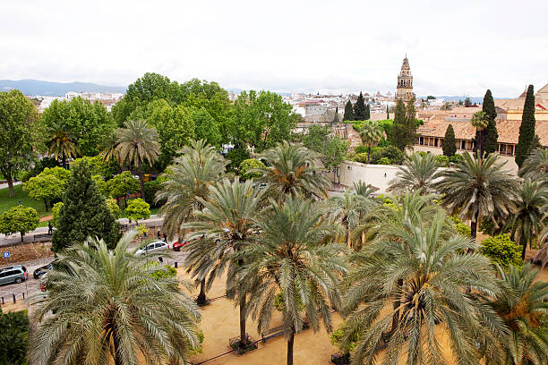 istock Aerial View of Cordoba Spain 186838849