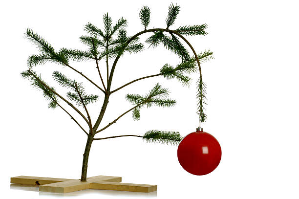 Sad christmas tree stock photo