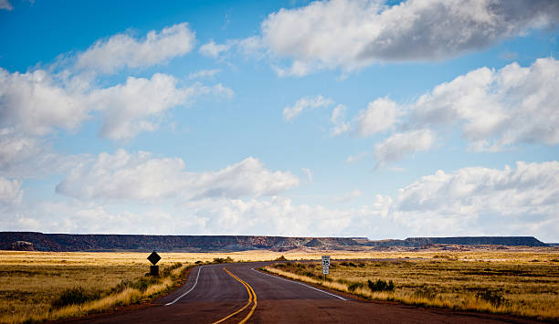 istock Country road in the desert 186839094