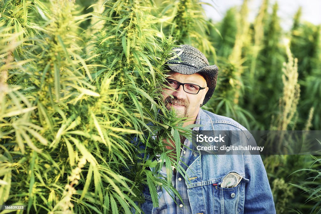 Cannabis Spacciatore di droga - Foto stock royalty-free di 45-49 anni