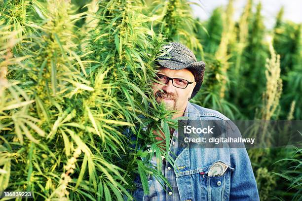 Cannabis Spacciatore Di Droga - Fotografie stock e altre immagini di 45-49 anni - 45-49 anni, Abbigliamento casual, Adulto