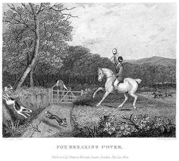 fox hunt - illustration and painting equestrian event blood sport 19th century style stock illustrations