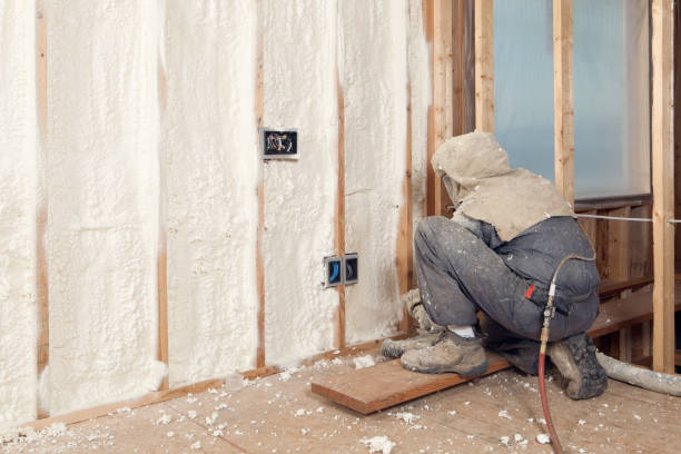 Worker Spraying Expandable Foam Insulation between Wall Studs  spray insulation stock pictures, royalty-free photos & images