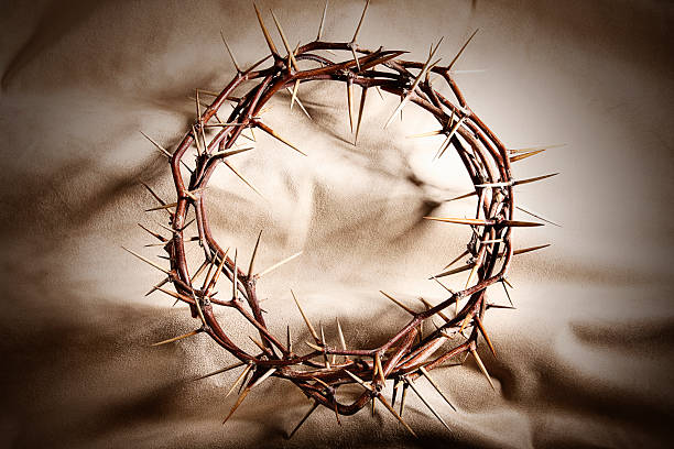 istock Crown of Thorns on Brown Background 186840674