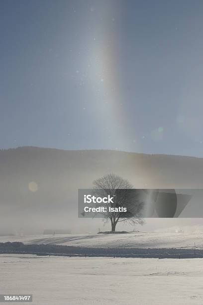 Lonely Tree Foto de stock y más banco de imágenes de Arco iris - Arco iris, Colorido, Destinos turísticos