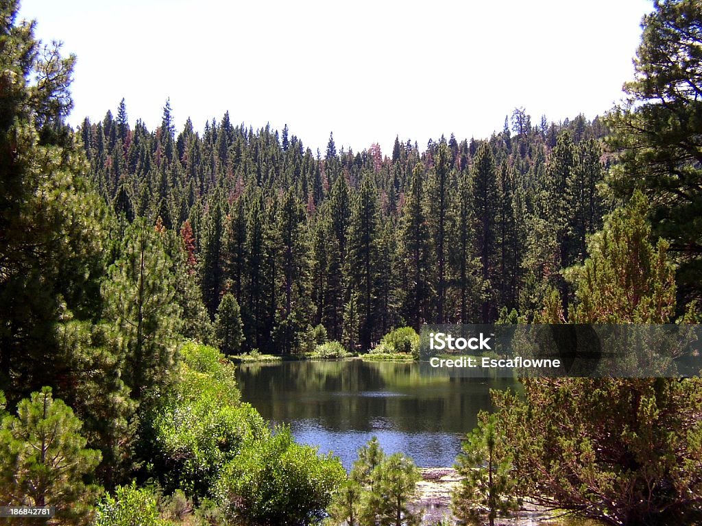 lake in the woods A small lake in forested mountains. Blue Stock Photo