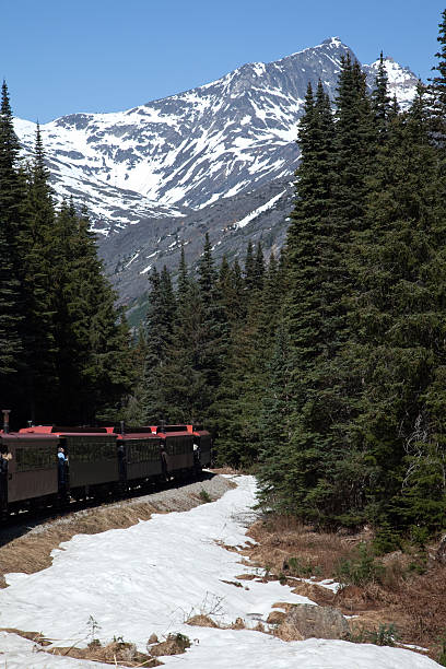 istock Riding a Train Down the White Pass to Skagway 186842804