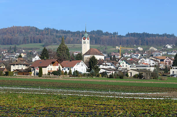 istock Swiss town Seengen. 186843331
