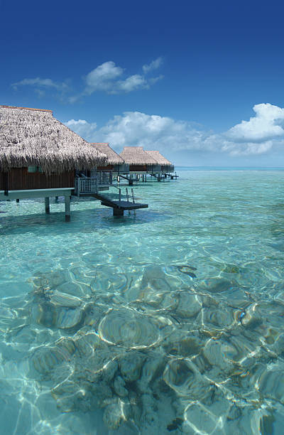 istock Tropical Resort at Shallow Sea 186843622