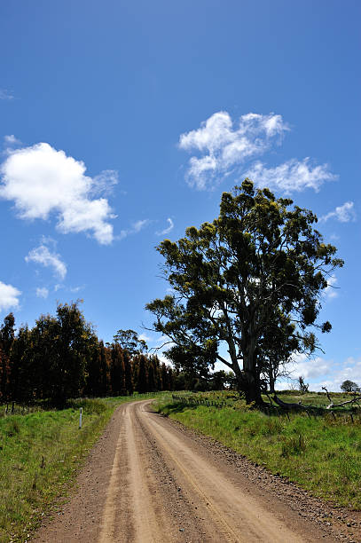 istock Rural road, Tasmania, 186843873