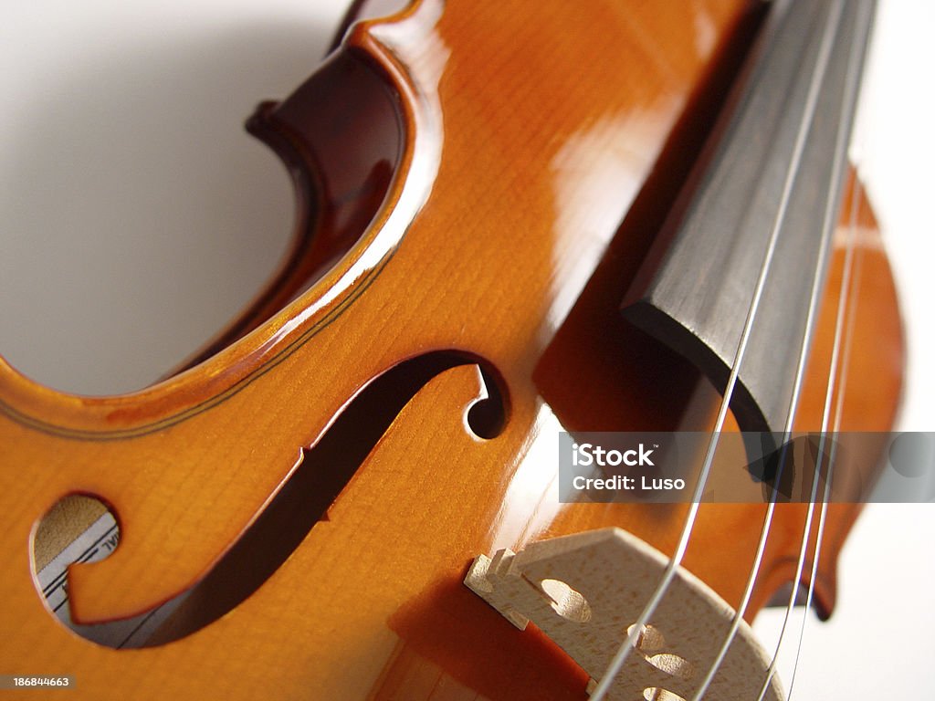 Strings & corps violon (série - Photo de Corde d'instrument de musique libre de droits