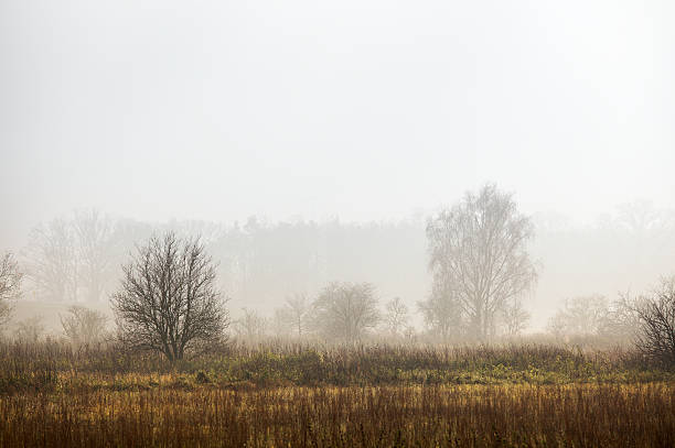 istock Misty Landscape in November 186845061