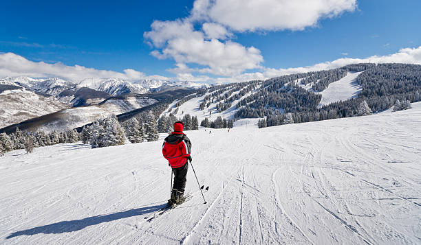 istock Female Skier Standing with Rocky Mountains in Background 186845249