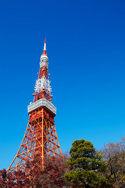 istock Tokyo tower in autumn 186845346