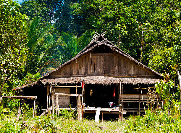 メンタワイハウス - mentawai islands rural scene sumatra indonesia ストックフォトと画像