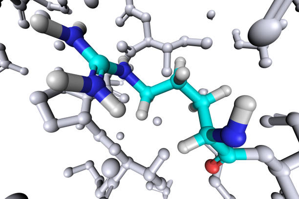 aminoacido arginina - arginine foto e immagini stock