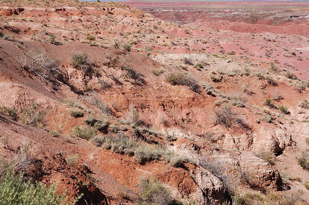 istock Painted Desert National Park 186845860