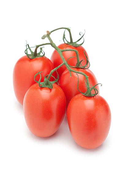 Juicy ripe plum tomatoes on their vines for sale on a market stall.